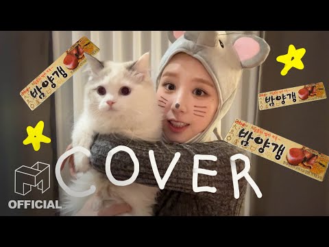 HeeJin 'Bam Yang Gang' Cover (Edited by HeeJin) | EN JP | ARTMS