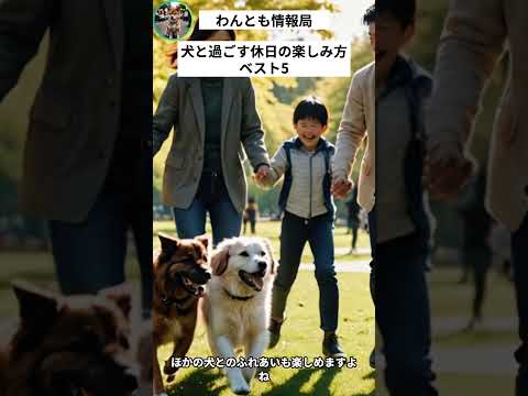 愛犬と過ごす休日の楽しみ方ベスト5