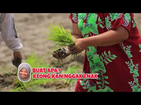 Mbok Wiryo Mau Bantu Menanam Malah Kena Omel? Gakpapa yang Penting Dapat Keong! - MASAK GESSS