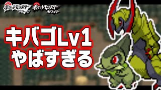 キバゴLv1が最初のポケモンだったら【1匹縛り旅】【オノノクス/オノンド】