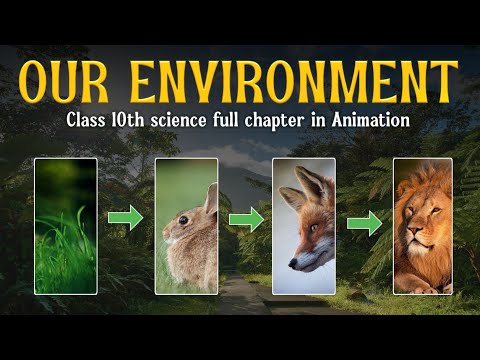 Our Environment full chapter (Animation) | Class 10 Science chapter 14 | CBSE | NCERT