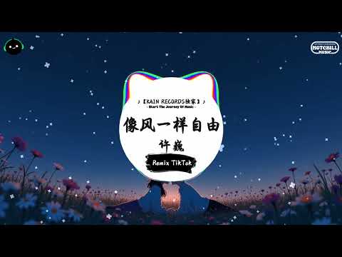 像风一样自由 (抖音DJ版) - 许巍『我像風一樣自由，就像你的温柔 無法挽留。』♪ || 抖音最热门的背景音乐 | 抖音 Douyin | TikTok ♪