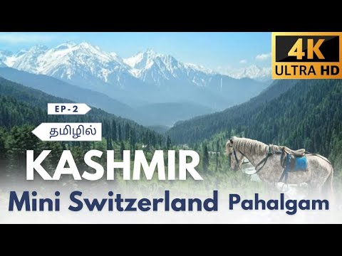 MINI SWITZERLAND PAHALGAM IN KASHMIR APPLE FARMS SAFFRONS PONY RIDE YENGADAPORA 4K