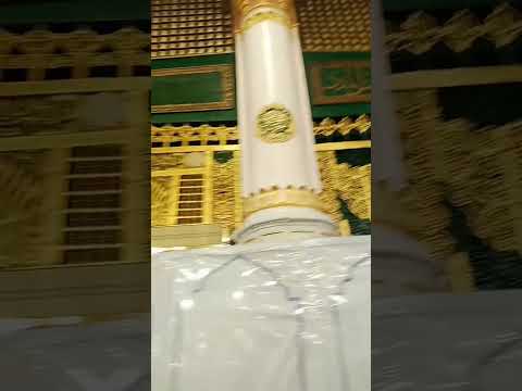 Riyadh_ul_jannat #ytshorts #youtubeshorts #viralvideo #madina#saudiarabia #religion #viralshorts2024