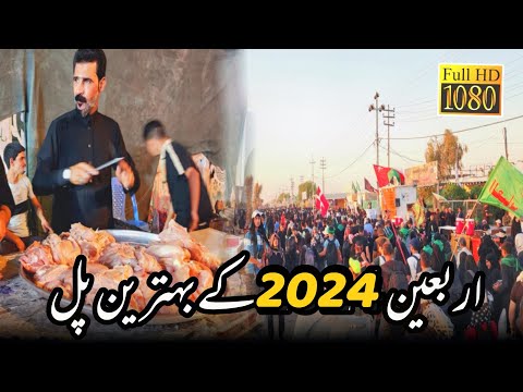 Arbaeen walk 2024 - Safar Ishq - Najaf to karbala Mashi - waheed najafi