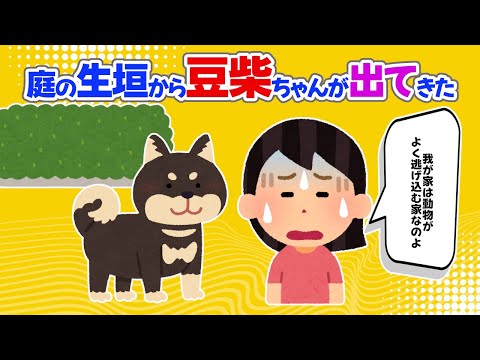 【2chほっこり】庭の生垣から豆柴ちゃんが出てきた