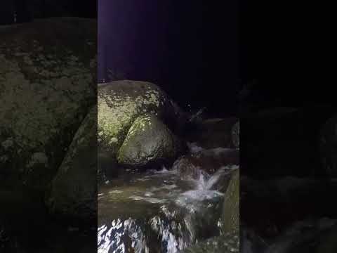 The beautiful flow of river water at night #river #riversounds #riversoundsrelaxing #soothingsound