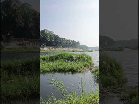 പാലക്കാട് ജില്ലയിലെ പാലത്തുള്ളിയിൽ നിന്നും ഒരു കാഴ്ച