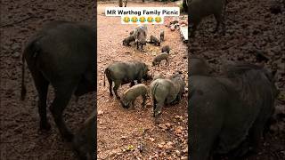 MR Warthog Family Winter Picnic 😂😂😂😂😂