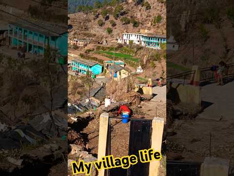 #myvillageshow #myvillage #lifestylevlog #viralfunnyshorts #2025new #arijitsingh #bollywood #love