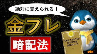 【絶対に覚えられる】金フレ暗記法【効果的な使い方】