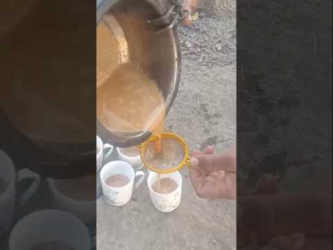 रानामध्ये बनवला शेळीच्या दूधाचा चहा #shorts #shortsfeed #trandingsong  #villagelife #tea #