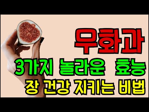 무화과 3가지 놀라운 효능과 장 건강 지키는 비법