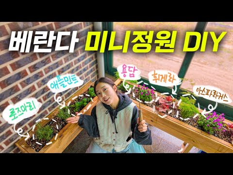 10만원으로 시골집 배란다에 미니 정원을 만들어보자🪴| 초간단 나무 화단 DIY