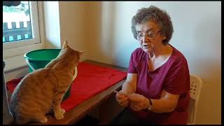 Feline Care 500 Club December 2024