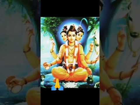 datta bavani :- सकाळी ज्या घरात दत्त बावनी ऐकली जाते तिथे सुख समृद्धी सह सर्व मनोकामना पूर्ण होतात..