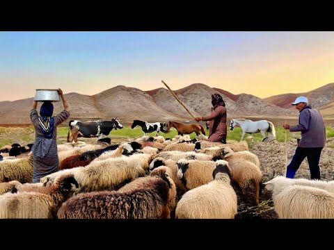 Discovering the Secrets of Iran’s Nomads: A Thrilling Look at Nomadic Traditions