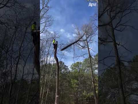 Couldn't be me up there! 😲 #afv #fail