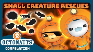 @Octonauts - 🐡 Small Creatures Rescues! 🪸 | 3 Hours+ Full Episodes Marathon