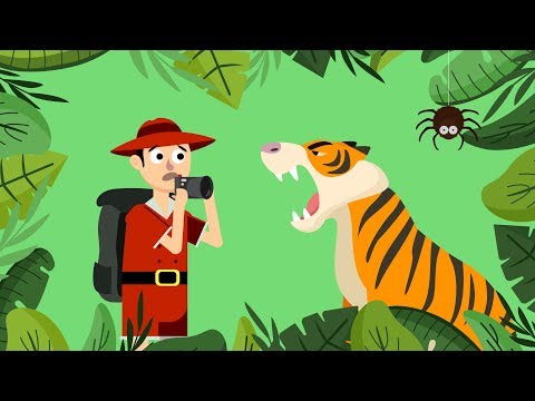 Jungle Survival 5 Tips That Will Save Your Life!