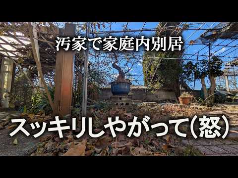 【片付け】一瞬で荒れた汚庭、クリスマスに片付けます｜汚部屋｜ズボラ主婦｜空き家｜汚家｜庭｜大掃除