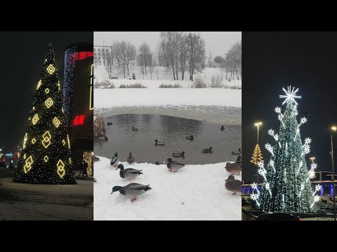 Ducks enjoying snowfall⛄️ || Snowfall ❄️ || Christmas 🎄 || Winter Wonderland