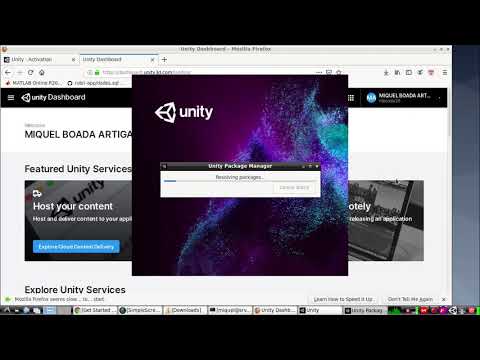 How to install Unity on a Debian system