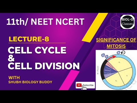 Lec-08 significance of mitosis CELL CYCLE & CELL DIVISION #NCERT #BIOLOGYNCERT #NEET #neetbiology