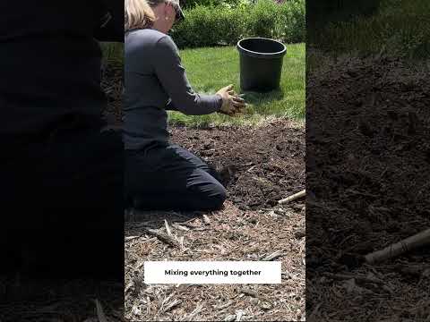 Making a Tiny Cutting Garden