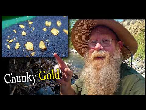 Prospector Finds Multiple Gold Pickers, in a Public Spot!