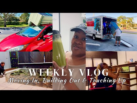 Weekly Vlog: Building Out The Salon / Pauls Doctors Appointment / The Couch 🛋️ / StarPollyanna