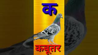 क से कबूतर,अ से अनार, आ से आम ।। Hindi varnmala song , ka se kabutar, kh se khargosh#short