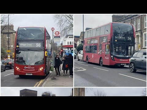 Buses at Graham Road