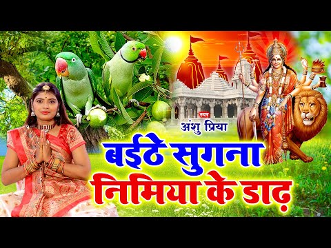 पारम्परिक देवी पचरा गीत #VIDEO || बइठे सुगना अड़हुल के डढ़िया अहो मईया || Anshu Priya Devi Geet