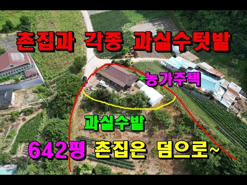 시원한 들판이 내려다보이는 농가주택과 각종 과실수텃밭/642평 촌집은 덤입니다/정선촌집/정선부동산매매/정선전원주택