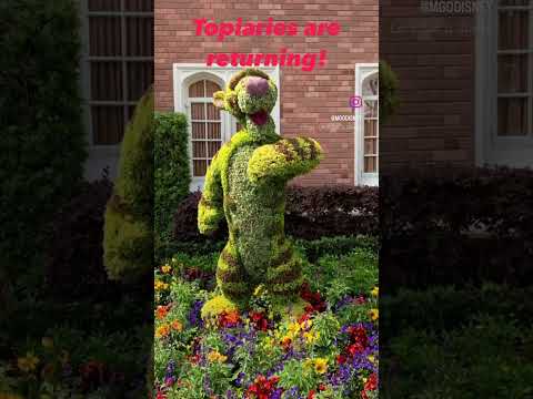 flower and garden promo reel 2024 #disney #disneyworld #disneyparks  #epcot  #flowerandgarden