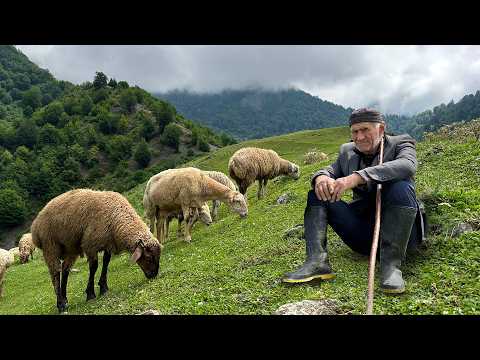 Shepherding in the Marvelous Mountains! Life in Harmony with the Nature of an Elderly Couple