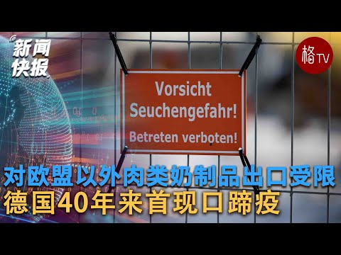 德国40年来首现口蹄疫，肉类出口受限【新闻快报】