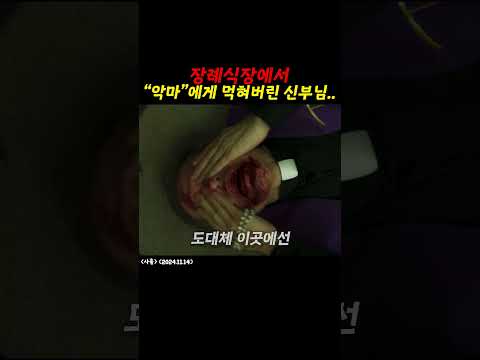 이게 대체...?