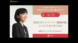 #279 注目のホットワード「越境学習」についてまとめてみた｜越境することでゆらぎを生み出す