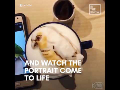 Cafe in Taiwan makes lattes that look like your pet