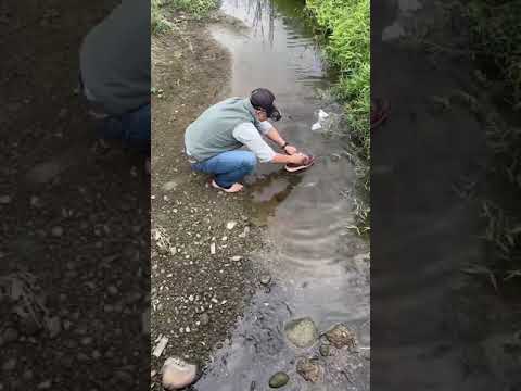 踩到水溝 到溪邊洗襪子🧦