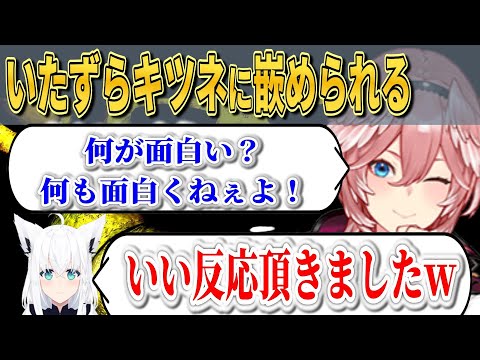 ふぶさん嵌められて大絶叫のルイ姉　【ホロライブ切り抜き/鷹嶺ルイ/白上フブキ】