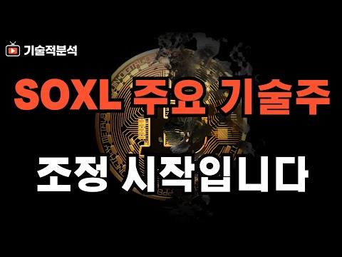 커지는 침체 우려에 SOXL 나스닥 주요 증시 조정 초입｜테슬라 대응 전략 여유가 필요합니다!