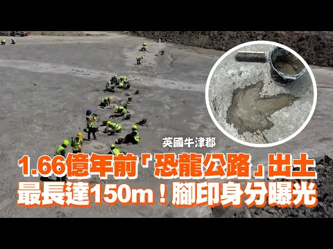 1.66億年前「恐龍公路」出土　最長達150m！腳印主人身分曝