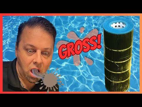 HOW TO CLEAN A GROSS POOL FILTER! | Silly Sunday ep.64