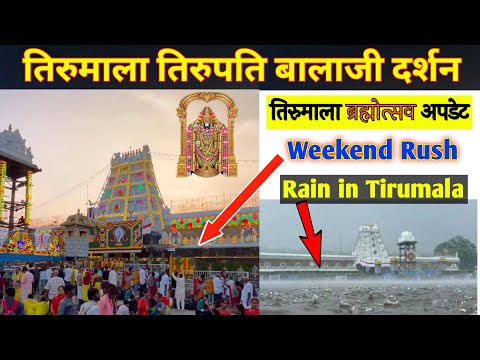 Tirumala present situation | Rain in tirumala | Weekend Rush | Tirumala Tirupati Balaji Darshan