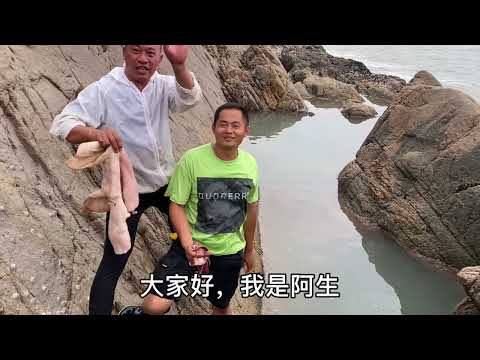 【阿向趕海】阿向阿生對賭雙子坑 運氣爆棚連抓石斑大鯊魚 難敵阿克桃花運不斷