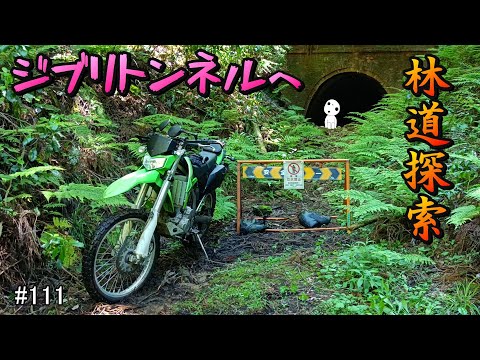 KLX250 林道探索【ジブリトンネルを目指して】