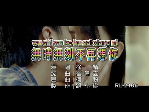 徐婧 | 無時無刻不再想你 | (DJ版) | (1080P)KTV